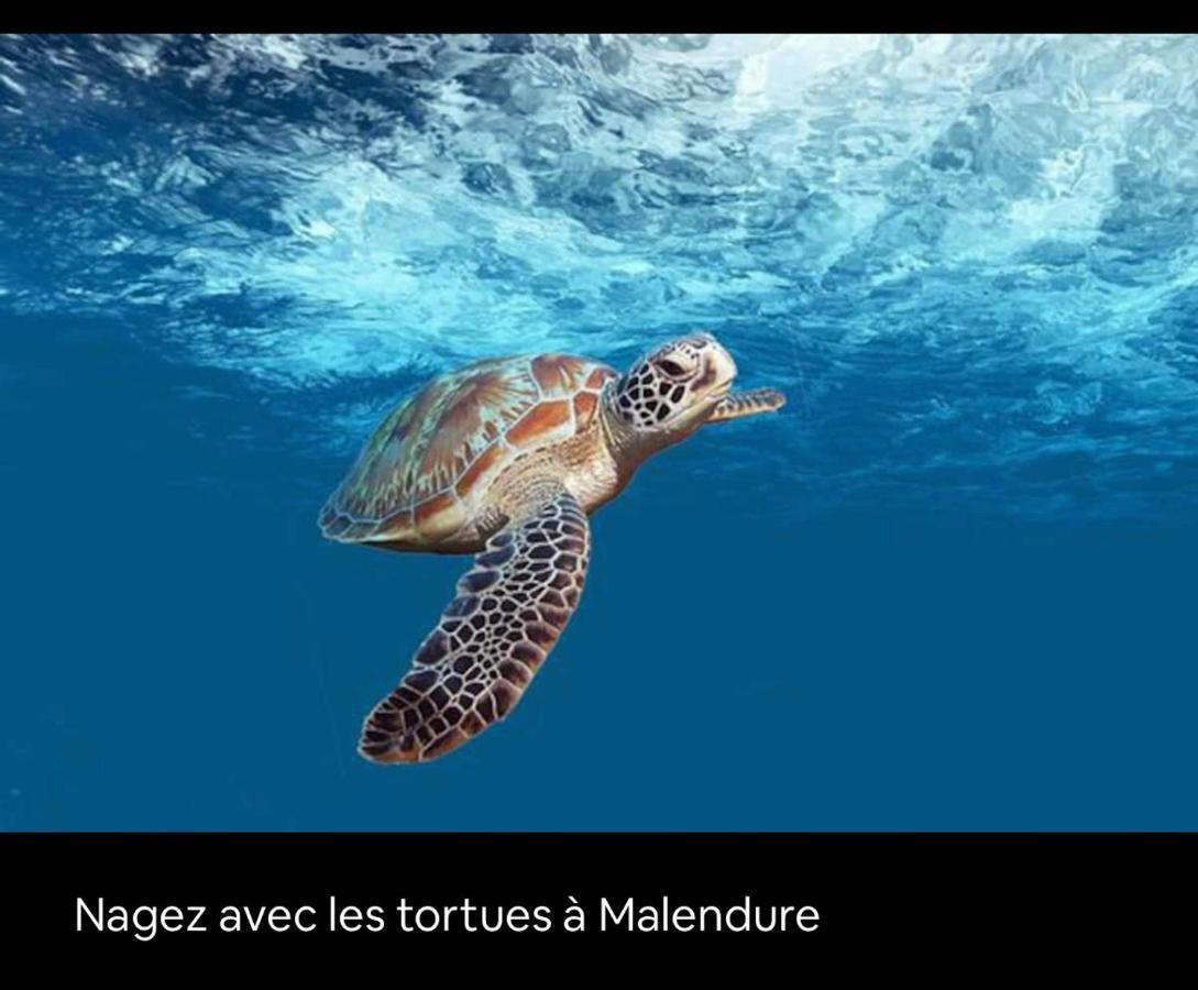 Gite Ti Papiyon Bouillante Kültér fotó